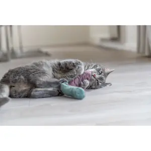 Brinquedos para gatos Trixie Catnip image-2