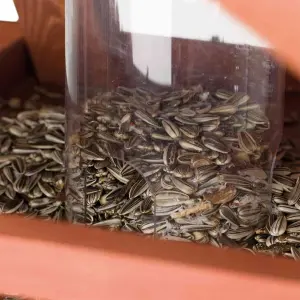 Comedero para pájaros con soporte y silo de pino Trixie Natura image-4