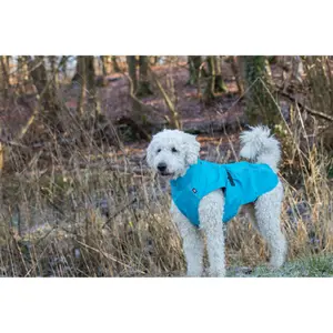 Regenmantel für Hunde Trixie Vimy image-0