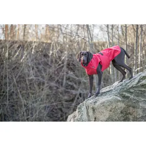 Regenmantel für Hunde Trixie Vimy image-0