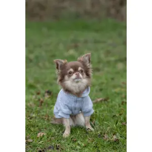 Camisola com capuz para cães Trixie Rainbow Falls image-3