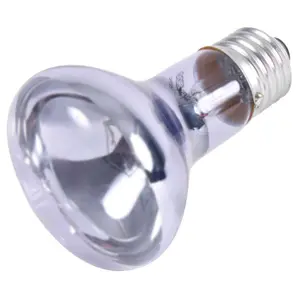 Neodymium-Wärme-Spotlampen für die Terraristik Trixie image-0