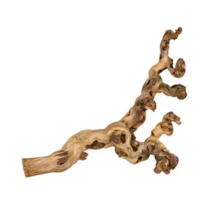 Decorazioni per terrari - rampicanti striati d'acqua Trixie