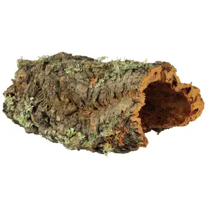 76406-dekorationen-terrarium-aus-korkrinde-trixie-grun-l