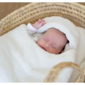 Angel Nest Trois Kilos Sept image-1