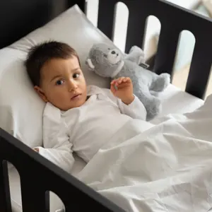 Plush Trois Kilos Sept N'ours Ours image-2