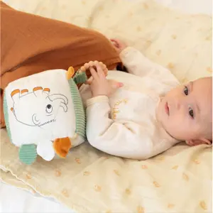 Activity Cube Trois Kilos Sept Diplododo image-2