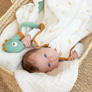 Schlafsack mit vorderem Reißverschluss für Babys Trois Kilos Sept Diplododo image-2