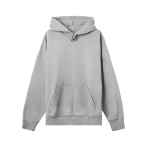 Hooded sweatshirt True Blanks