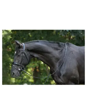 Combined riding bridle and noseband Trust Rotterdam image-1