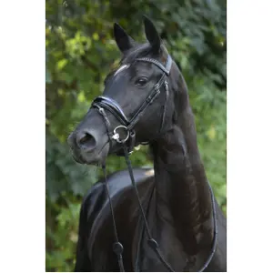Combined riding bridle and noseband Trust Rotterdam image-3