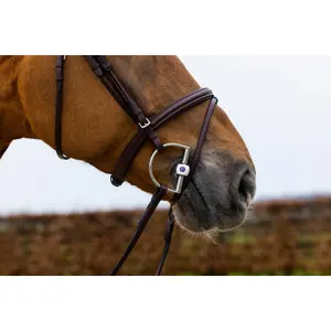 Anatomisch ruiterbit Trust Classic image-1
