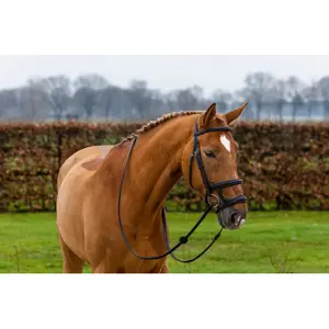 Double Horse cheek pieces Trust image-1