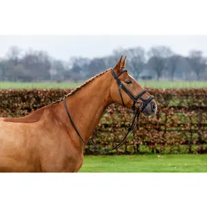 Double Horse cheek pieces Trust image-2