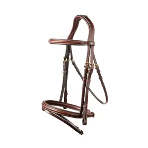 Combined riding bridle and noseband Trust Calgary image-0