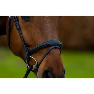 Cabeçada de equitação combinada inglesa com fita nasal anatómica Trust Amsterdam image-2