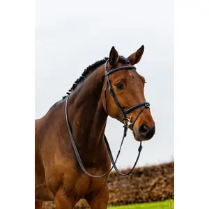 Trense Trust Geneva image-1