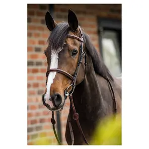 Trense Trust Geneva image-1