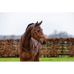 Trense Trust St. Gallen image-1