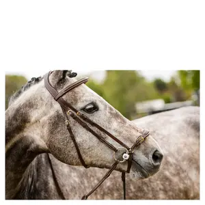 Anatomisch ruiterbit Trust Barcelona image-2