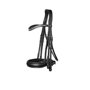Bridles for horses Trust Wellington image-0