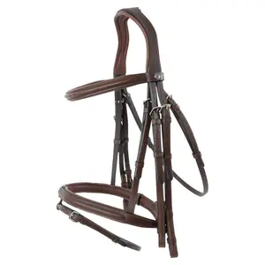 Riding bridle Trust Abu Dhabi image-1