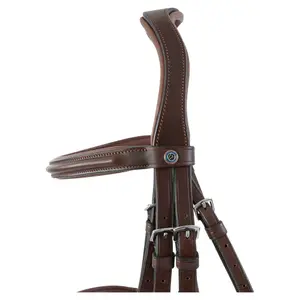 Riding bridle Trust Abu Dhabi image-2