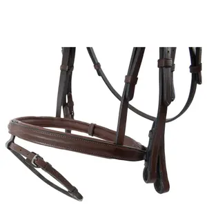 Riding bridle Trust Abu Dhabi image-3