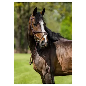 Bridle with crossed noseband Trust Oslo Mexican image-1