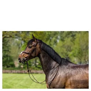 Bridle with crossed noseband Trust Oslo Mexican image-2