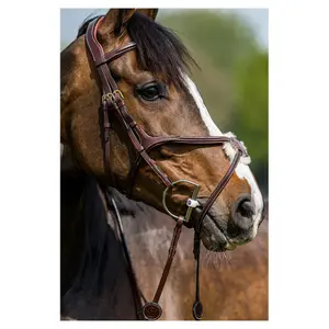 Bridle with crossed noseband Trust Oslo Mexican image-3