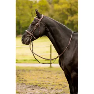 Anatomical riding bridle Trust Kentucky image-1
