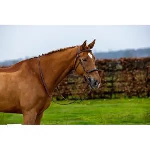Bridão de equitação anatômico Trust Hickstead Hackamore image-1