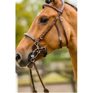Protetor de hackamore para cavalo Trust image-2