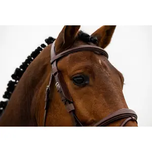 Blinders for Horse Trust image-1