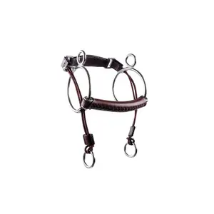 Combined bit for horse Trust Curbgag image-0