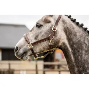 Leren halster voor paarden Trust San Miguel image-2