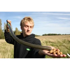 Lance bouillette carpe korda Eazi Stik image-3