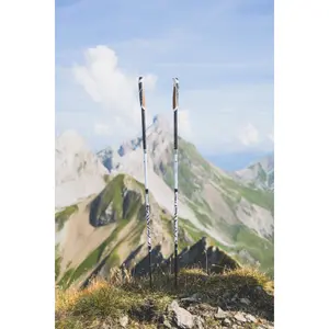 Bastone da trekking TSL Trail C4 Flow (x2) image-1