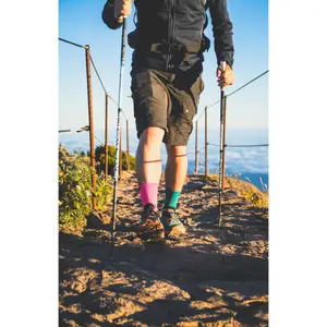Bastone da trekking TSL Trail C4 Flow (x2) image-3