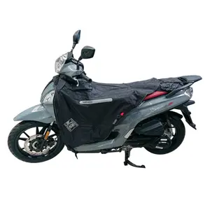 Καπάκι σκούτερ Termoscud R227X Sym Symphony ST 125 (από το 2022) image-0
