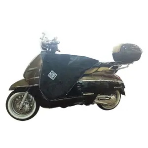 Ταμπέλα σκούτερ Termoscud R174X Peugeot Django 50/125/150 (2014-2023) image-0