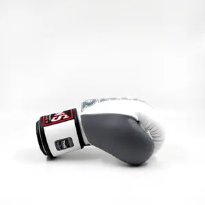 Gants de boxe Thaï Twins Special BGVL 8 image-2
