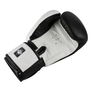 Boxing gloves Twins Special BGVL 3 image-1