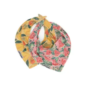Bandana bibs Twistshake (x2) image-0