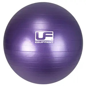 Swiss Excersise Ball with Bursting Resistance UFE image-0