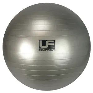 Swiss Exercise Ball with bursting resistance UFE