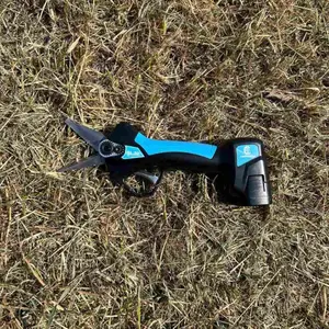 Accessoire coupe-onglons électrique pour ovins 2 batteries Ukal Campagnola image-2