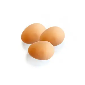 Αξεσουάρ κοτέτσι με πλαστικά αυγά Ukal Chick'a (x3) image-0