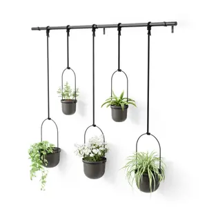 Set of 5 hanging pots Umbra Triflora